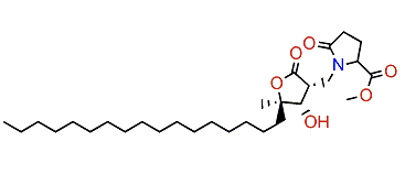 Amphiasterin C4